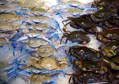 โคตรทะเล