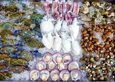 โคตรทะเล