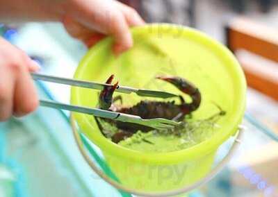 โคตรทะเล