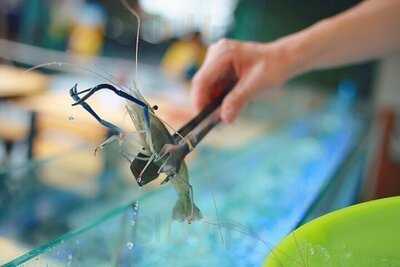 โคตรทะเล