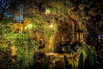 Happy Trees Bistro & Bar