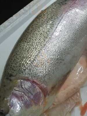 เดอะคริบเจแปนิส ซูชิแอนด์ฟิวชั่น เรสเตอรองท์