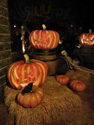 บ้านกินปลา