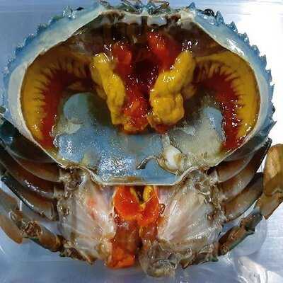 มิสเตอร์ลี ปูไข่ดองเกาหลี