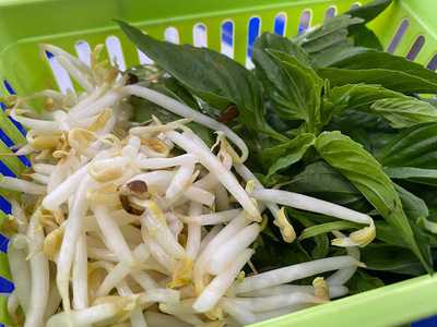 นายเตี๋ยวเรือ