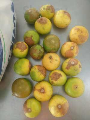 ร้านสำราญทอง