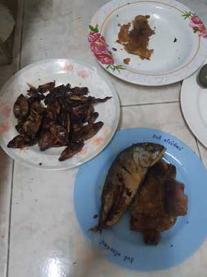 มิสเตอร์เชค