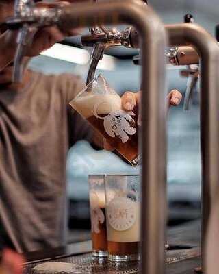 Space Oddity ; Brave Roasters