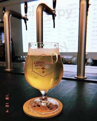 Space Oddity ; Brave Roasters