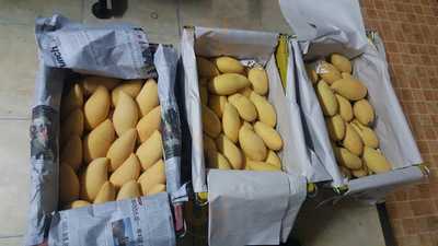 ร้านน้ำปั่นป้ากบ