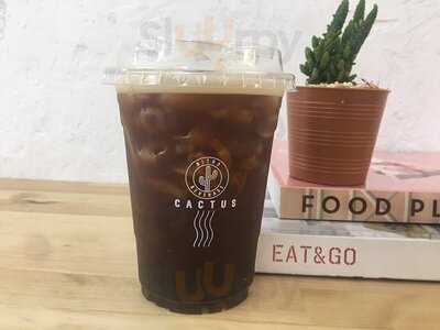 Cactus Nitro Beverage