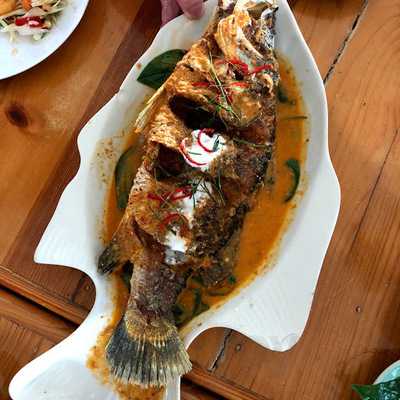 สุรีย์โภชนา