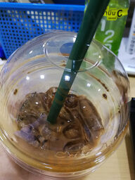 คอฟฟี่บอย