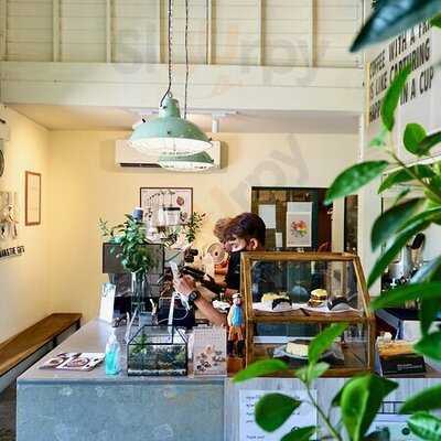 แมน แอนด์ เดอะ ฟิกส์