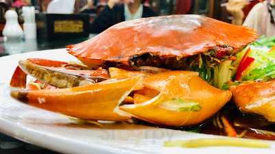 หูฉลามมหาชน