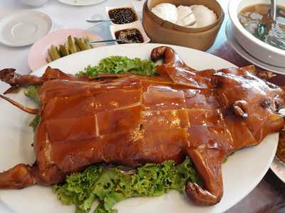 อาซ้อ หูฉลาม