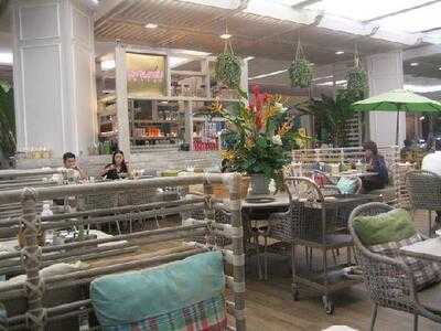 ร้านอาหาร ปาล์มขนุน