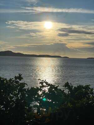 The Forest By The Sky