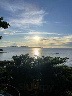 The Forest By The Sky