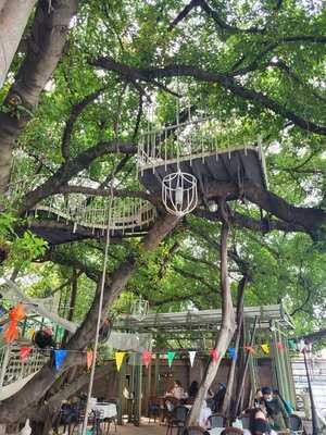 ไทร ร้านอาหาร