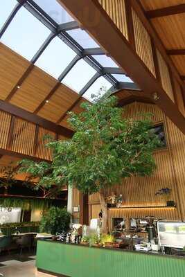 The Tall Trees Cafe And Bistro