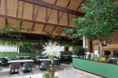 The Tall Trees Cafe And Bistro