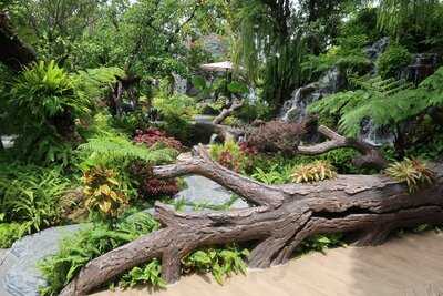 The Tall Trees Cafe And Bistro