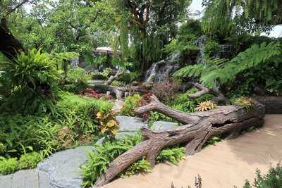 The Tall Trees Cafe And Bistro