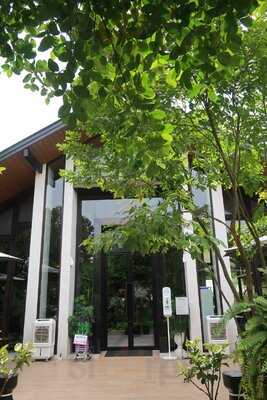 The Tall Trees Cafe And Bistro