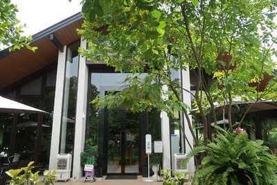 The Tall Trees Cafe And Bistro