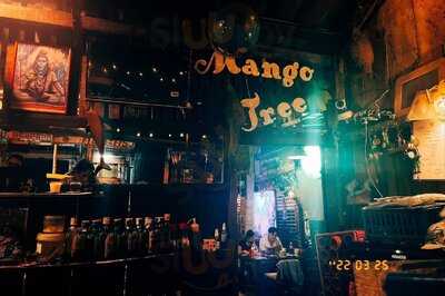 แมงโก้ทรี