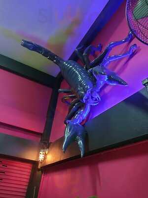 Scorpion Bar