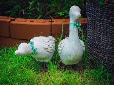 บลู เบลล์คาเฟ่ในสวน