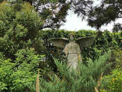 Misstar Cafe By Davika