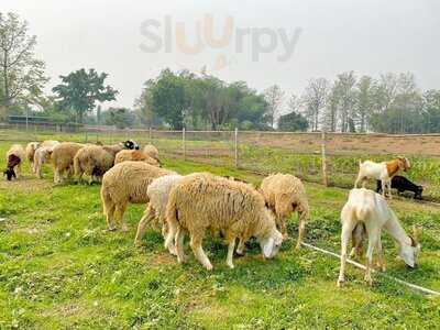 สราญภิรมย์ คาเฟ่