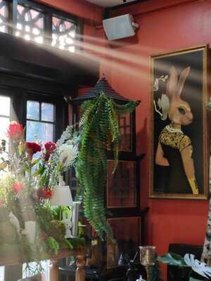 คานิน เดอะ แรบบิท