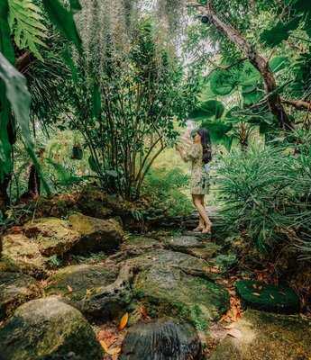 บ้านสวนสาทร