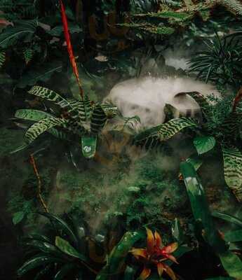 บ้านสวนสาทร