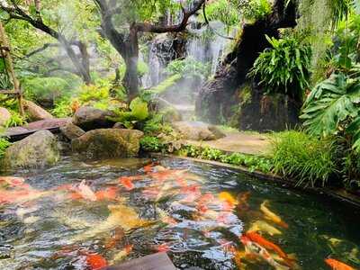 บ้านสวนสาทร