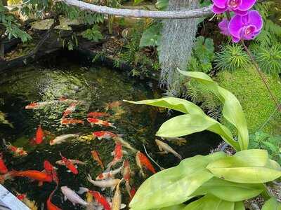 บ้านสวนสาทร