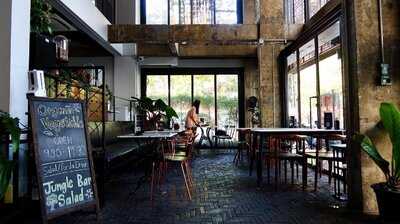 The Jungle Bar Salad