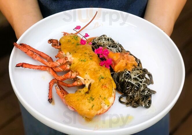 Taste Homemade Pasta