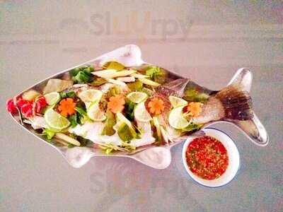 ยูเรเซี่ยน โวยาจ