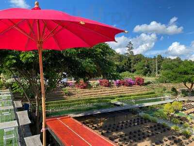 Chiang Rai Roast Duck Shop