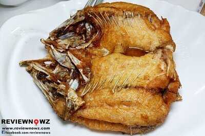 แอน ท่าดินแดง