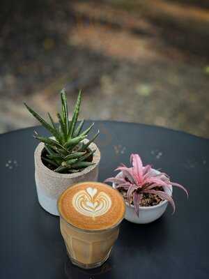 Burkta Coffee Wiangkaew