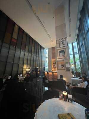 เดอะ แบล็ค แคท