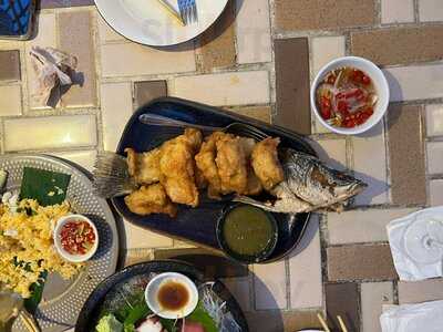 The Oxygen Beachfront Oasis