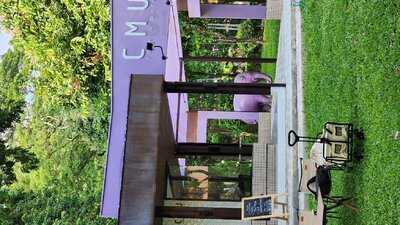 Cmu Cafe And More