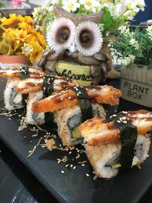 Night Owl Sushi